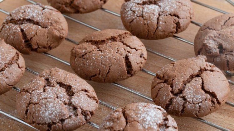 biscuits craquelés au yaourt et au cacao