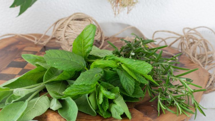 Comment utiliser les herbes aromatiques en cuisine