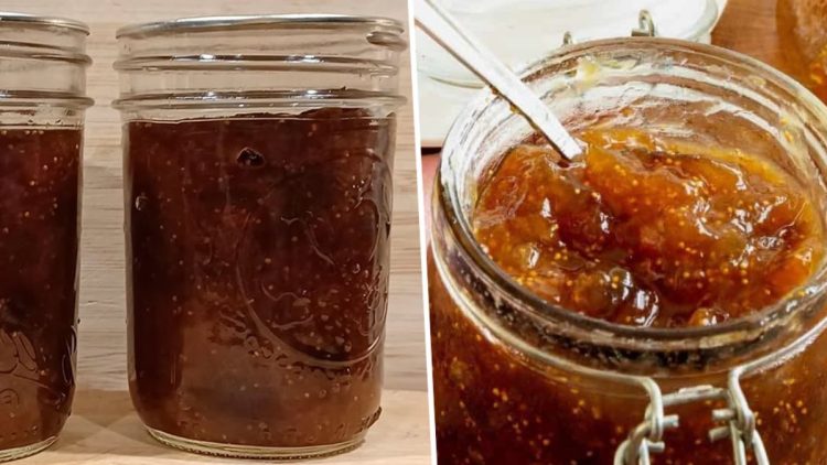confiture de figues weight Watchers