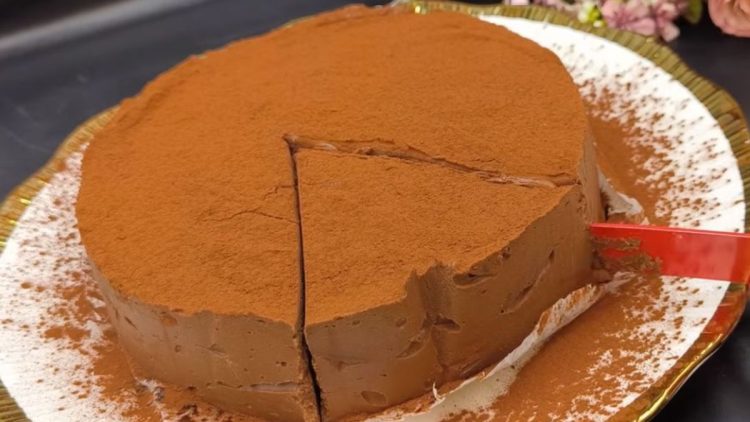 gâteau yaourt et chocolat sans cuisson