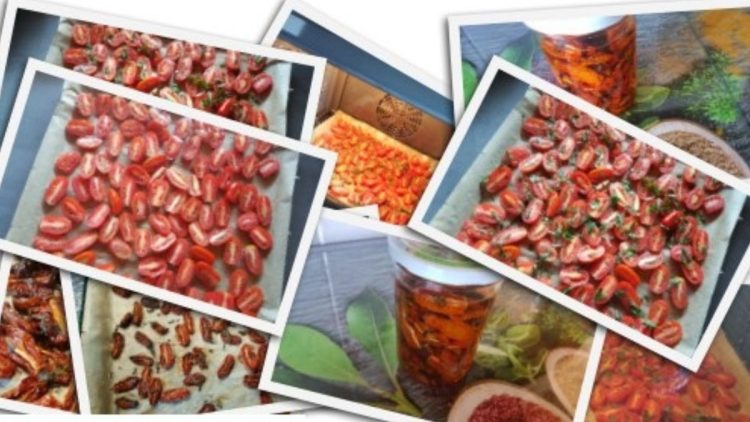tomates au four
