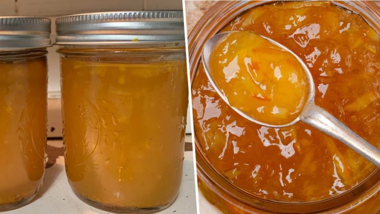 confiture d’oranges maison sans sucre