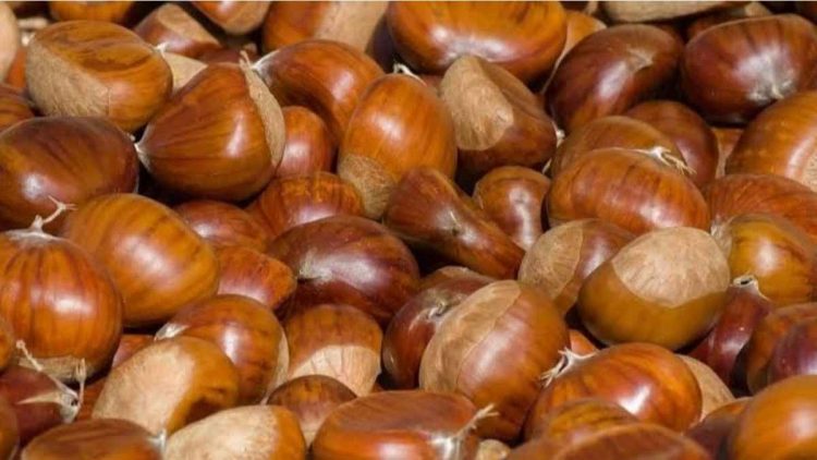 Ni four ni poêle : l'astuce simple pour réaliser des marrons grillés à la maison en seulement 6 minutes