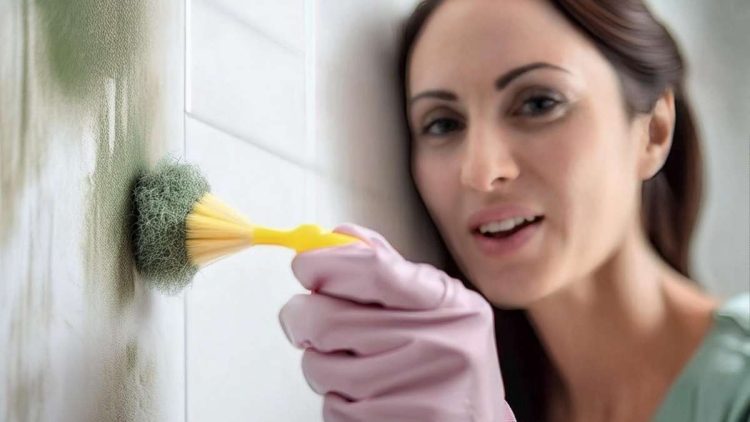 Adieu Moisissures Noires : L'Astuce Bicarbonate Sans Effort