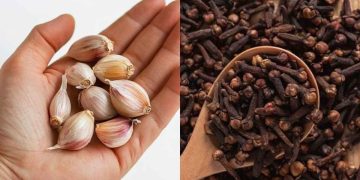 Ail et clous de girofle : le secret de santé que personne ne vous révélera