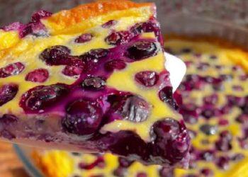 gâteau léger au fromage frais et myrtilles