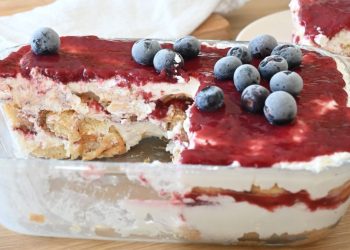 tiramisu light au yaourt et fruits rouges